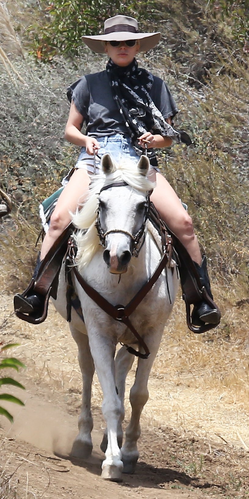lady gaga on horse