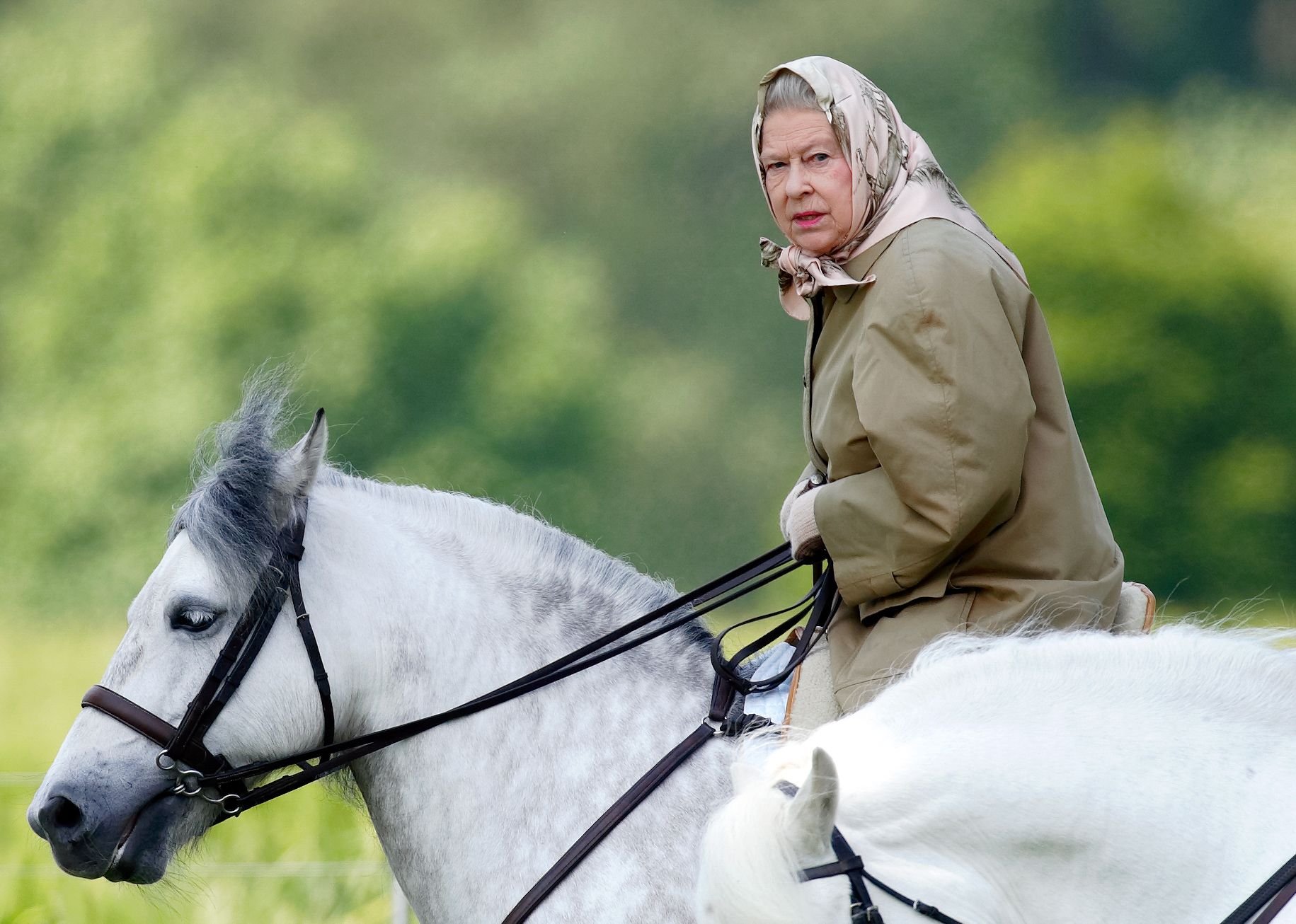 queen elizabeth on a horse