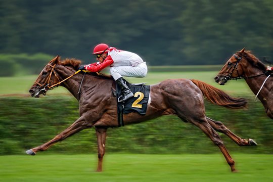 Top 5 Most Expensive Racehorses In The World