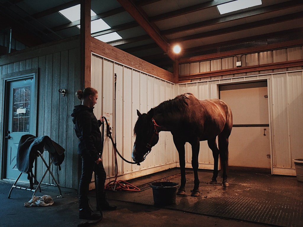 How To Find The Right Stable, Lessons and Trainer For Beginner Equestrians