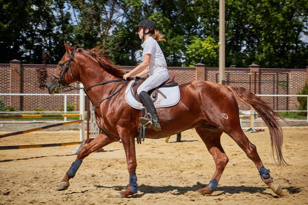 Beginners Guide To Horseback Riding Apparel